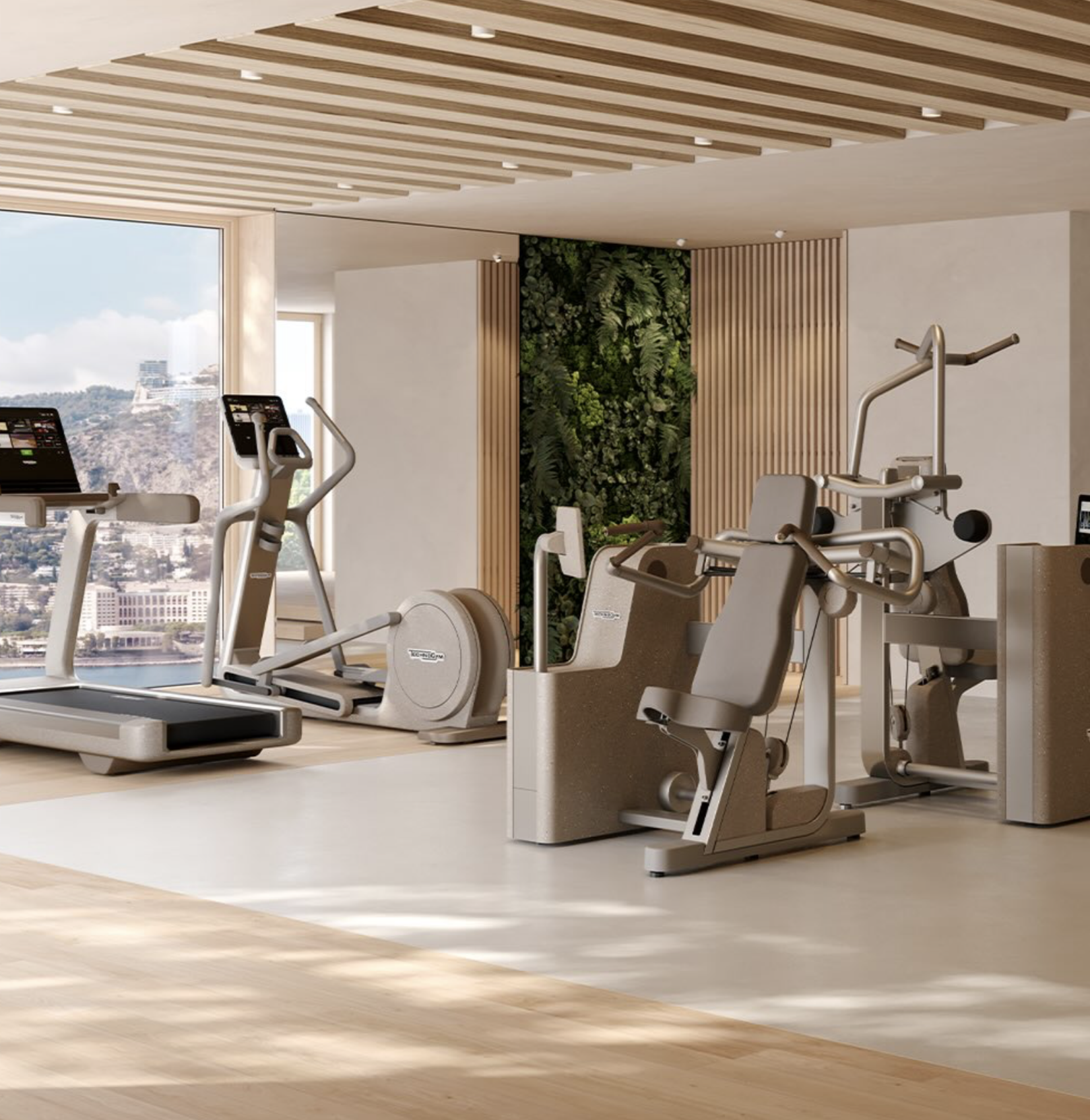 Technogym, picture 7