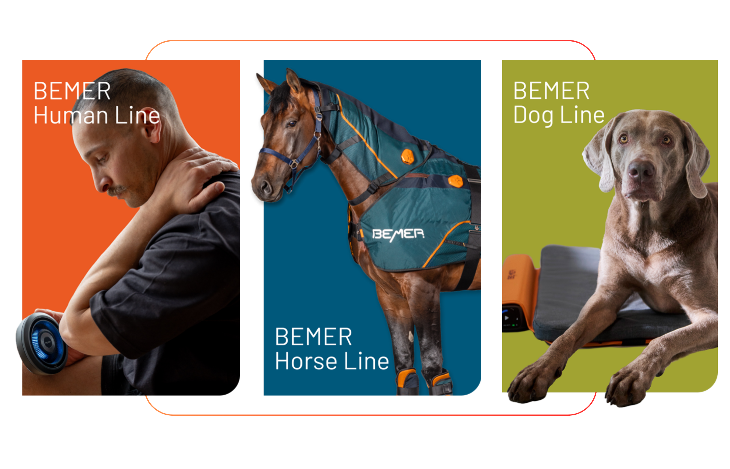 BEMER, picture 5