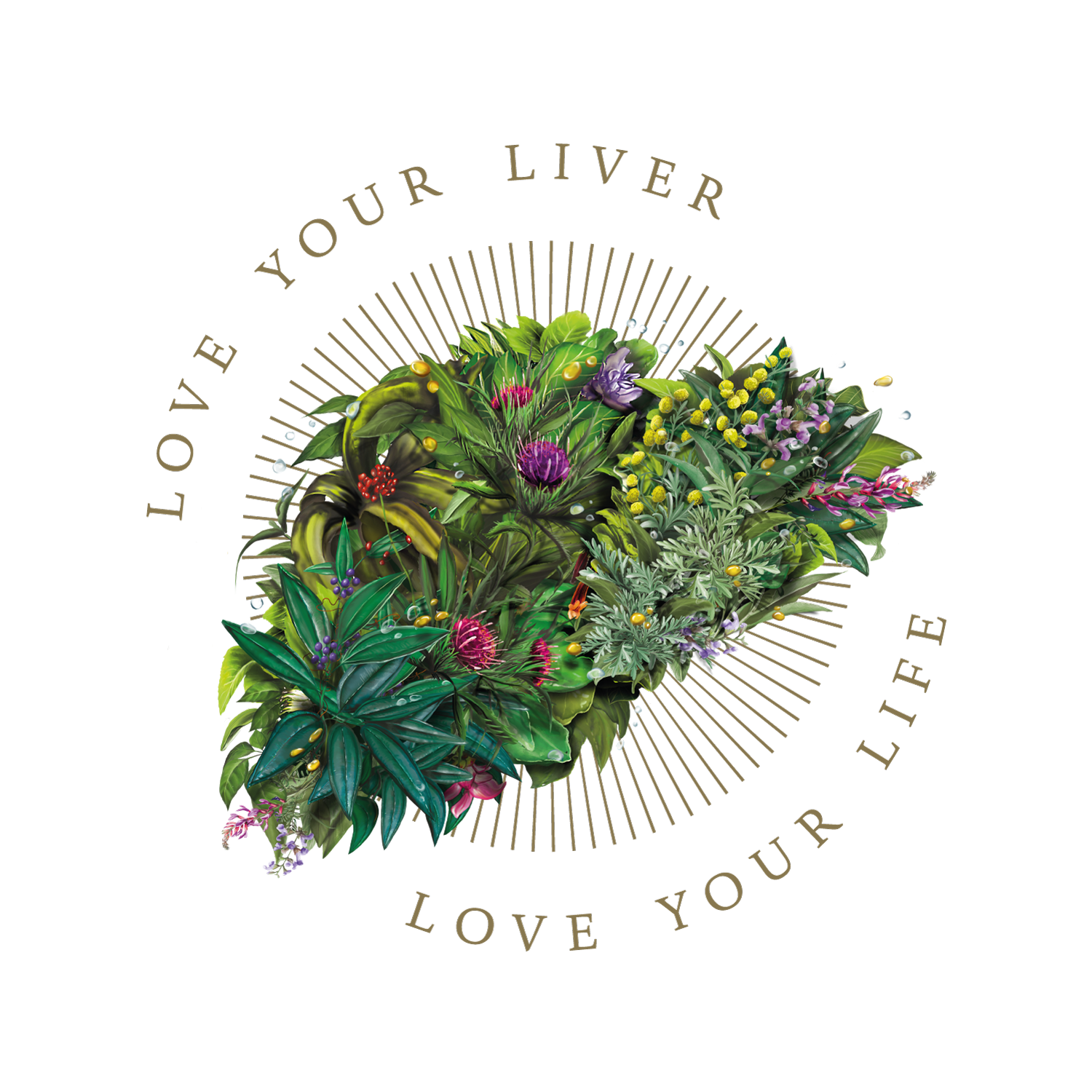 de-liver-ance® & The Liver Clinic, picture 3