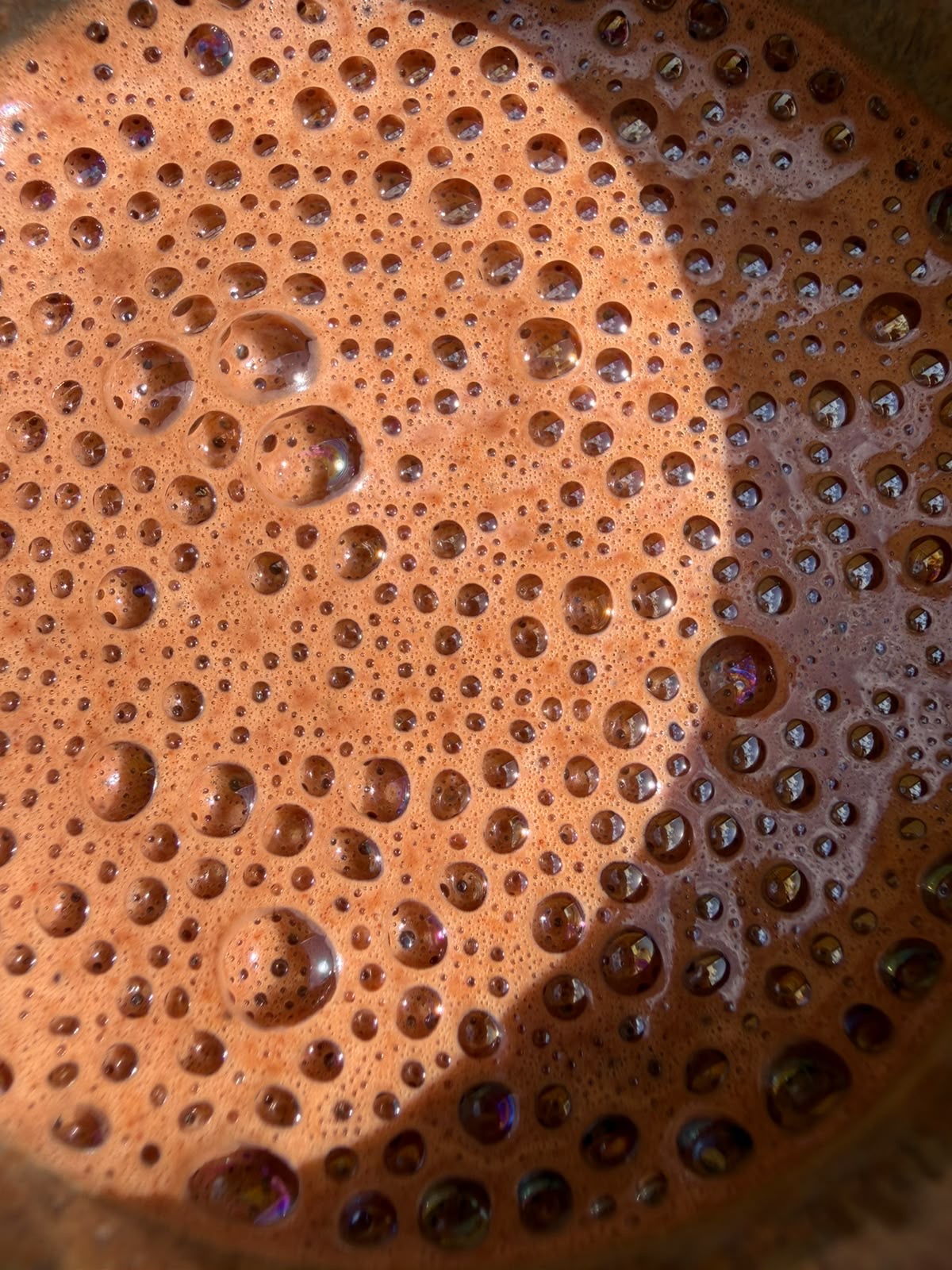 ayu cacao, picture 1