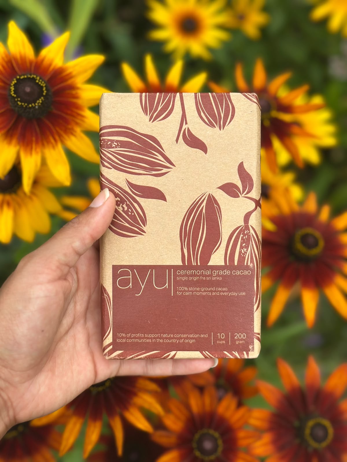 ayu cacao, picture 4